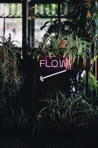 A small neon sign on a wall under overflowing pot plants. It says Flow, with an arrow pointing down and to the left.